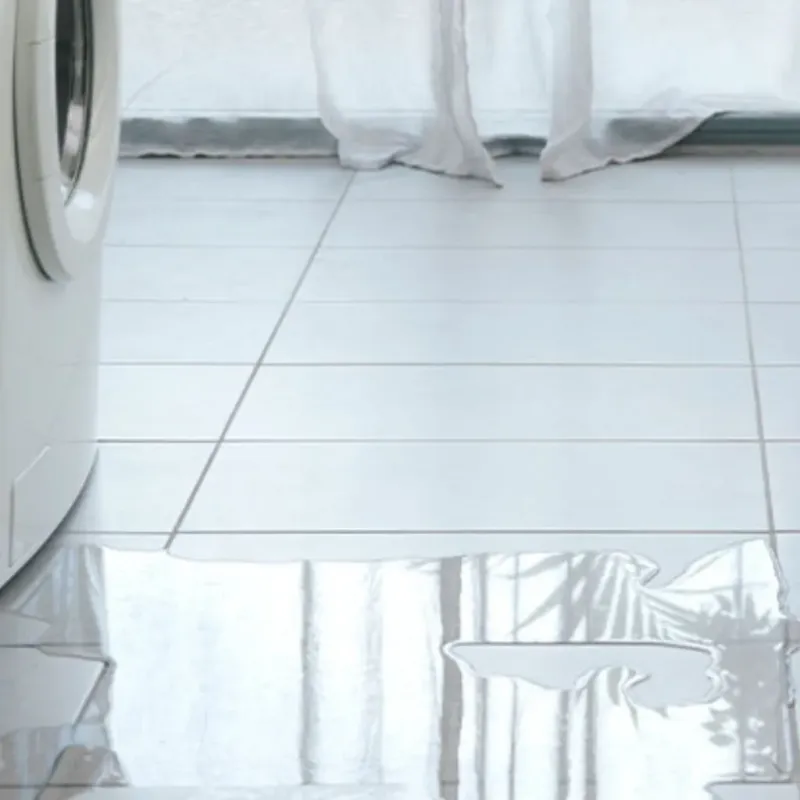 Appliance Leak Cleanup in Arcadia, CA